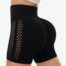 Shorts Feminino Fitness Seamless – Cós Alto, Compressão